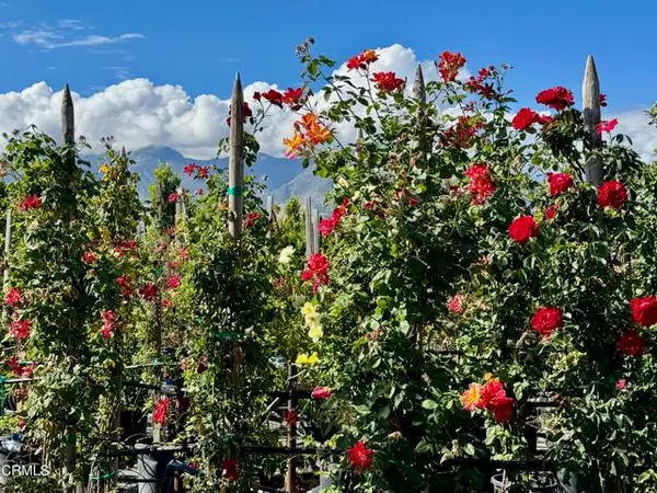 2245 California Avenue, Fillmore, CA 93015