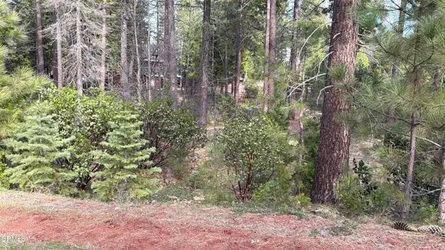 16 Chad Court, Burney, CA 96013 - #3