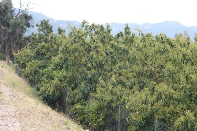 0 Camulos Street, Piru, CA 93040 - #3