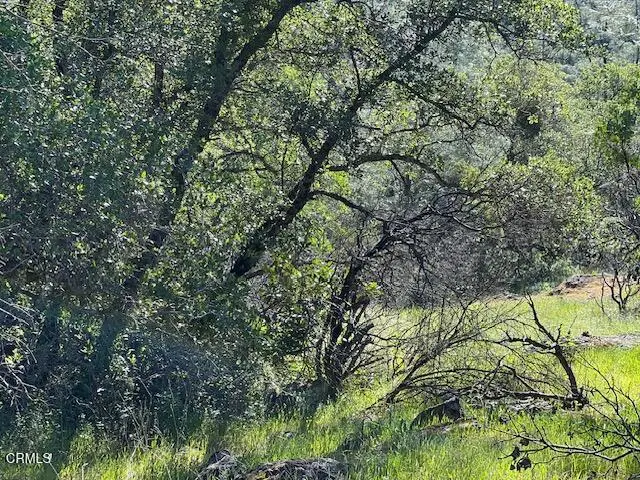 0 Rocky Top Road, Oroville, CA 95965 - #2