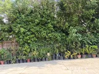 107 S Serrano Avenue, Los Angeles, CA 90004 - Image #3