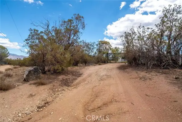 58215 Bliss Road, Anza, CA 92539 - #2