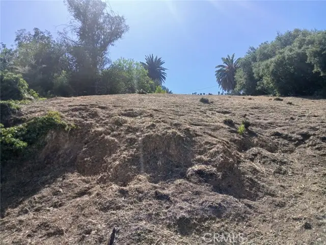 1087 Oneonta Drive, Los Angeles, CA 90065 - #1