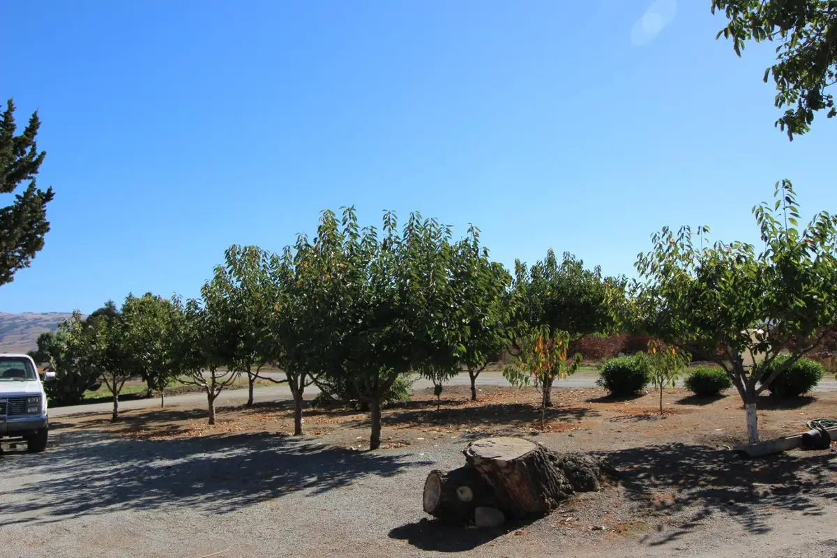 2025 Pacheco Pass Highway, Gilroy, CA 95020 - #1