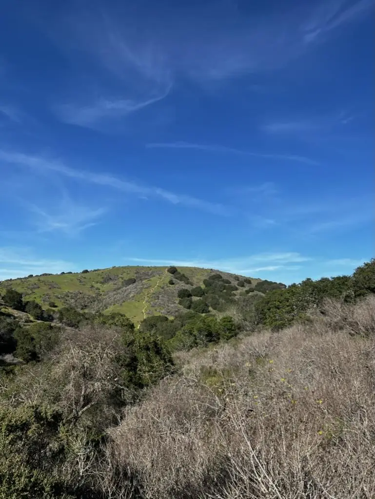 0000 Bartlett Way, Belmont, CA 94002 - Image #2