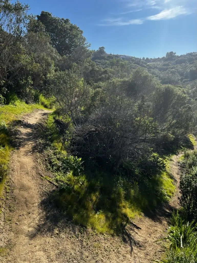 0000 Bartlett Way, Belmont, CA 94002 - Image #3