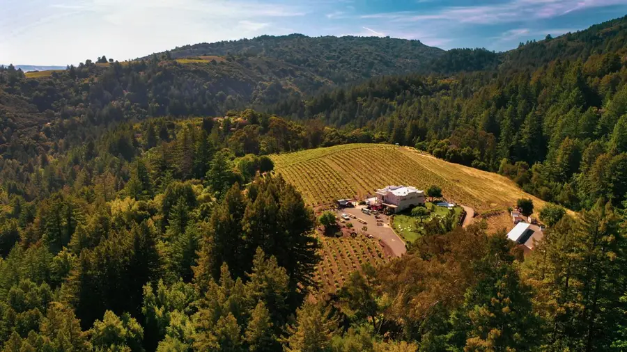 0000 Congress Springs, Saratoga, CA 95070 - Image #3