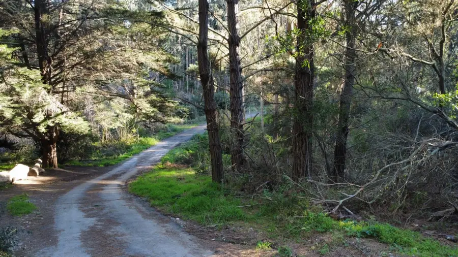 700 Cedar St., Montara, CA 94037 - Image #3