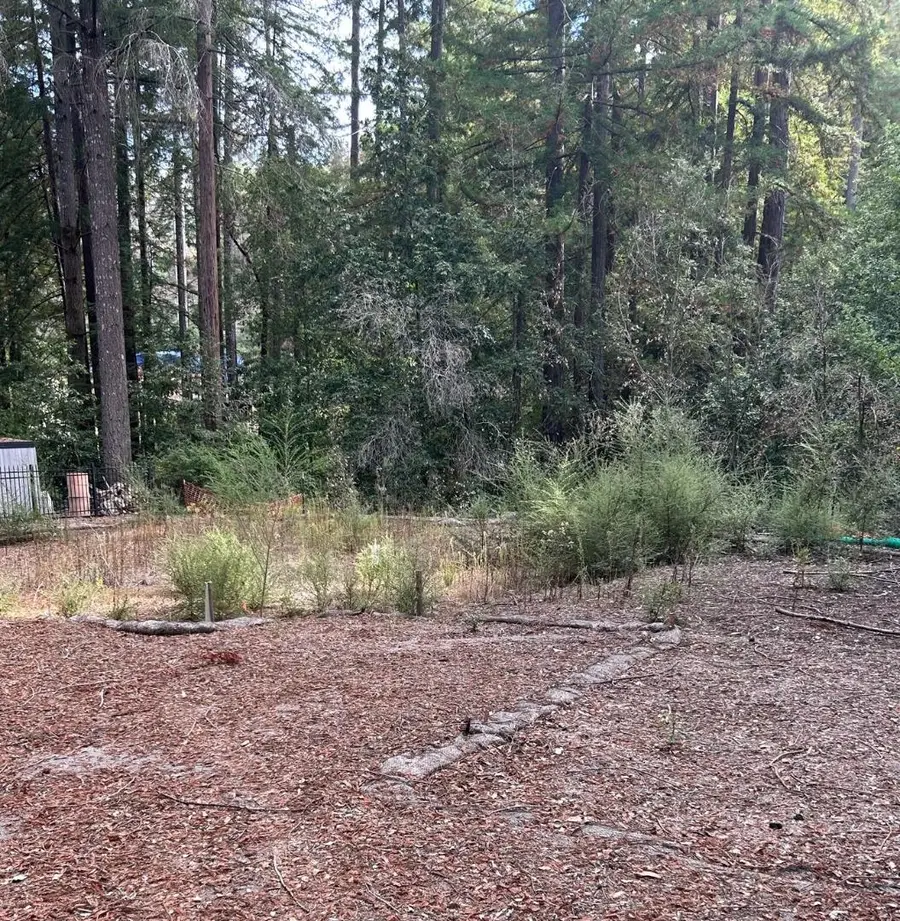 235 Double Bogey Drive, Boulder Creek, CA 95006 - Image #3