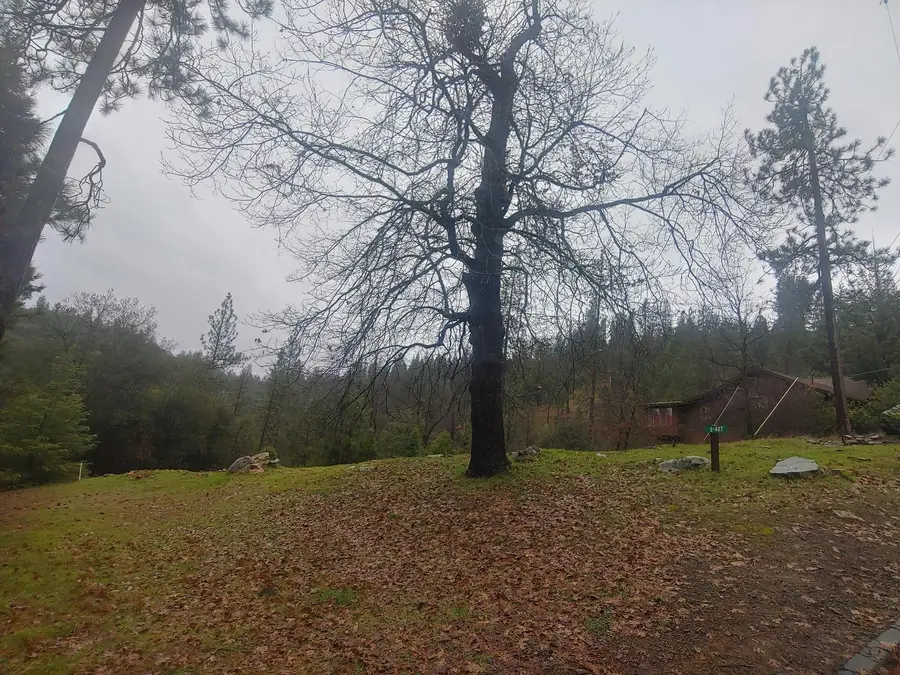 13003 Wells Fargo Drive, Groveland, CA 95321 - Image #3