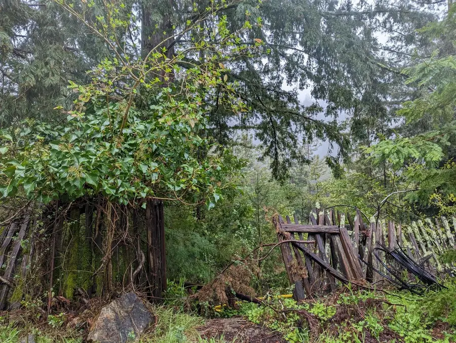 0 Glenwood, Los Gatos, CA 95033 - Image #2