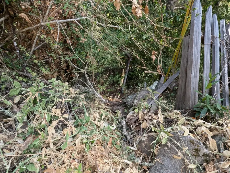 0 Glenwood, Los Gatos, CA 95033 - Image #3