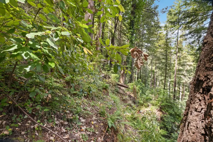 11507 Lakeview Avenue, Felton, CA 95018 - Image #3