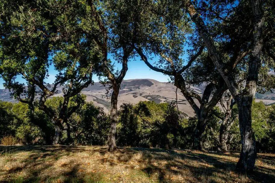 17114 Cachagua Road, Carmel Valley, CA 93924 - Image #2