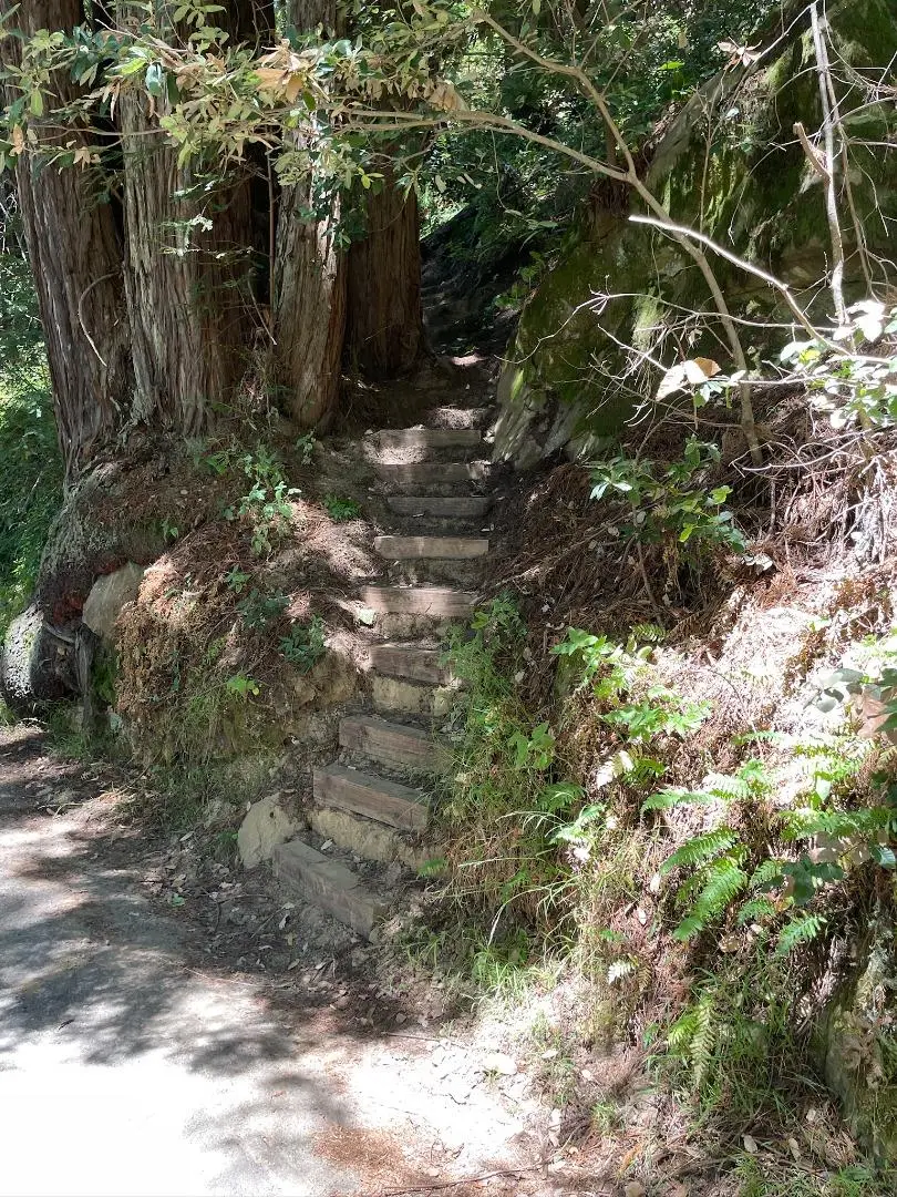 000 Purisima Road, Woodside, CA 94062 - Image #2