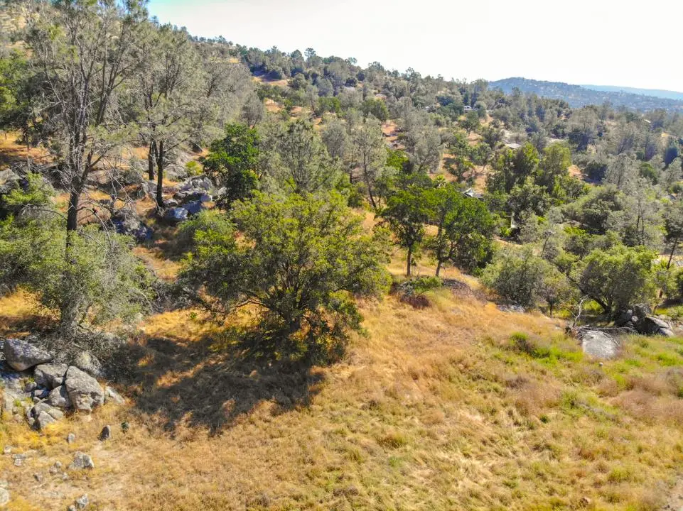 0 Long Hollow Drive, Coarsegold, CA 93614 - Image #1