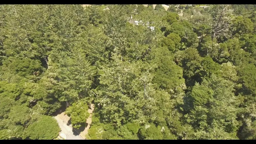 000 Burns, Aptos, CA 95003 - Image #3
