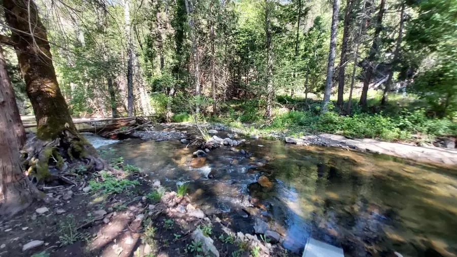 8063 Anderson Valley Road, Coulterville, CA 95311 - Image #3