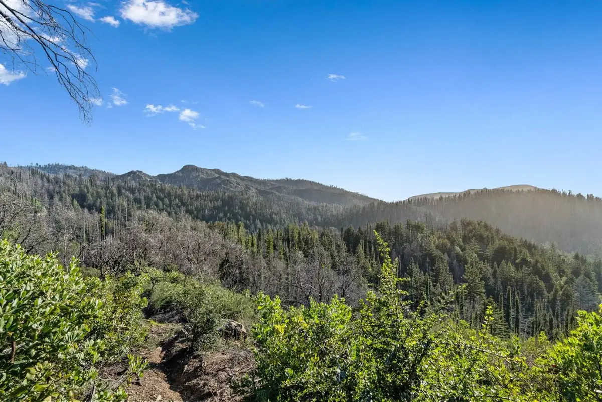 21200 Big Basin Way, Boulder Creek, CA 95006 - #1