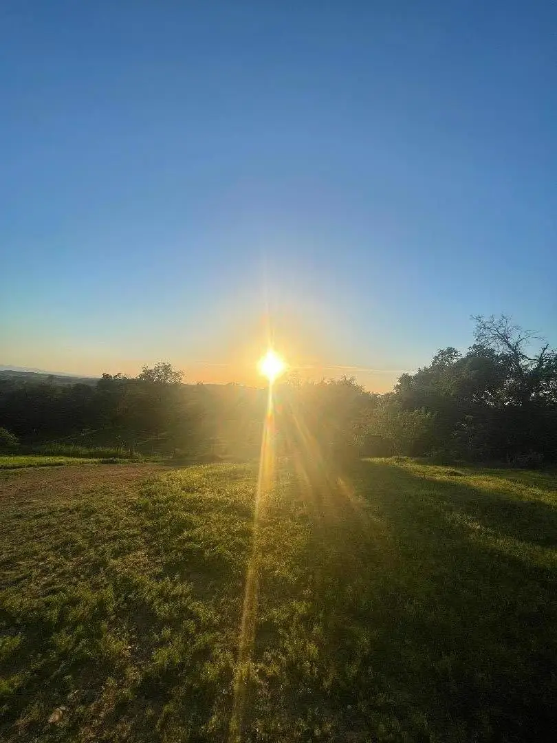 0 Avacado Road, Bangor, CA 95914 - Image #3