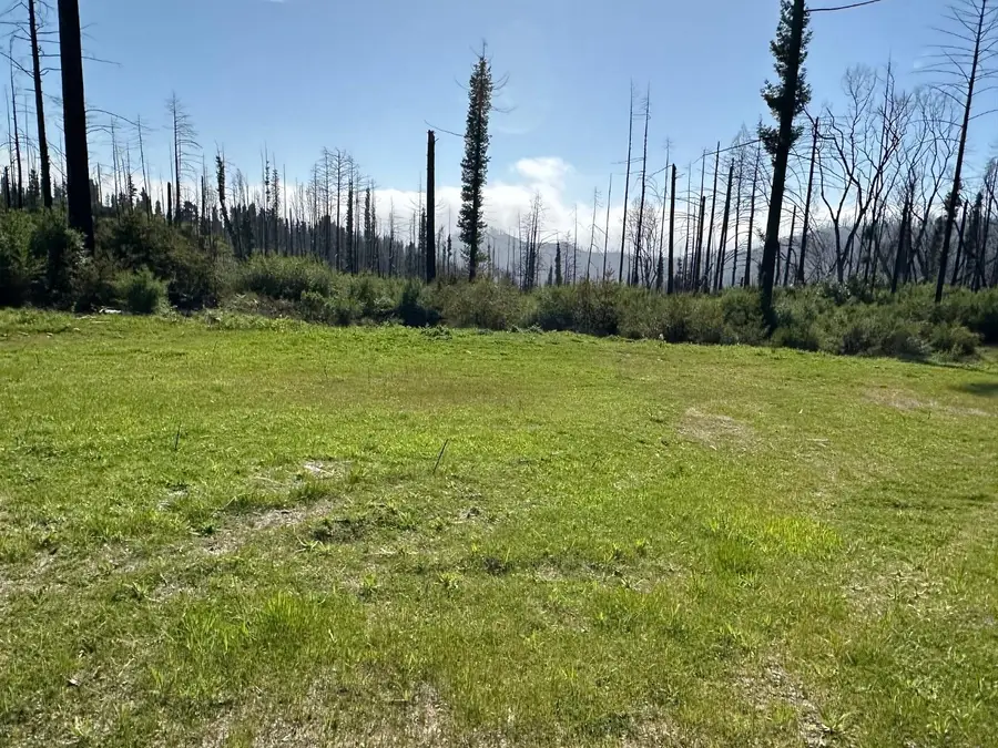 4605 Last Chance Road, Davenport, CA 95017 - Image #2