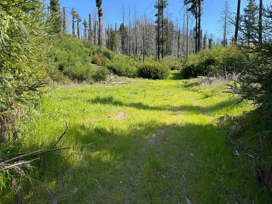 4605 Last Chance Road, Davenport, CA 95017 - Image #3