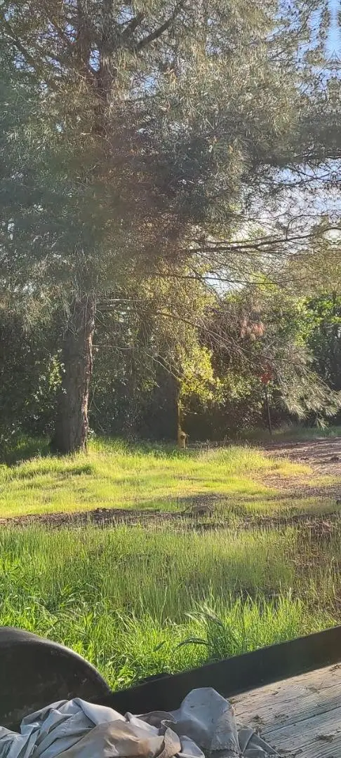 10470 Chicharra Court, Coulterville, CA 95311