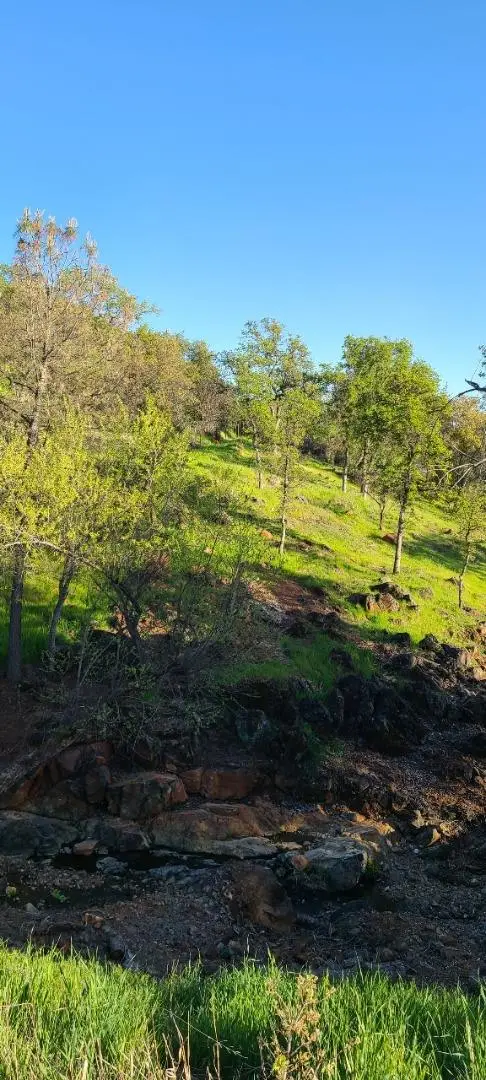 10470 Chicharra Court, Coulterville, CA 95311 - Image #2