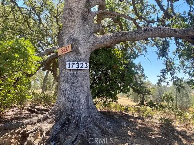 17323 Wagon Wheel Drive, Corning, CA 96021 - Image #1