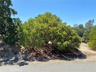17323 Wagon Wheel Drive, Corning, CA 96021 - Image #3
