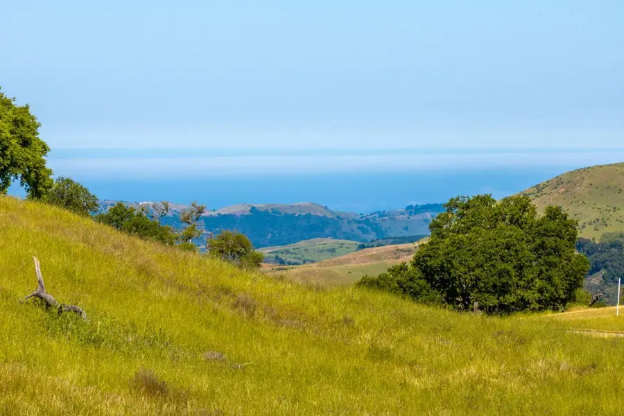 24 Vasquez Trail (lot 254), Carmel, CA 93923 - Image #2