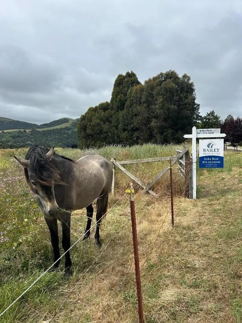 363 Orchard Hill Road, San Juan Bautista, CA 95045 - Image #3