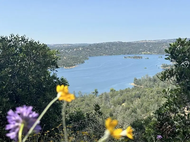 1119 Montauk Vista, Pilot Hill, CA 95664 - #1