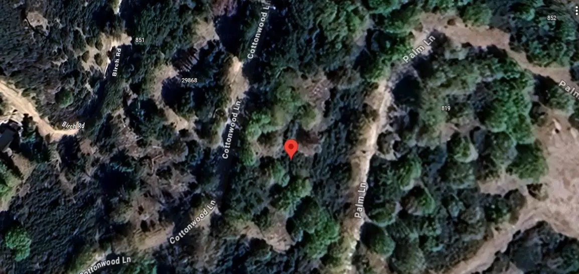 29865 Hickory Drive, Cedar Glen, CA 92321 - #1