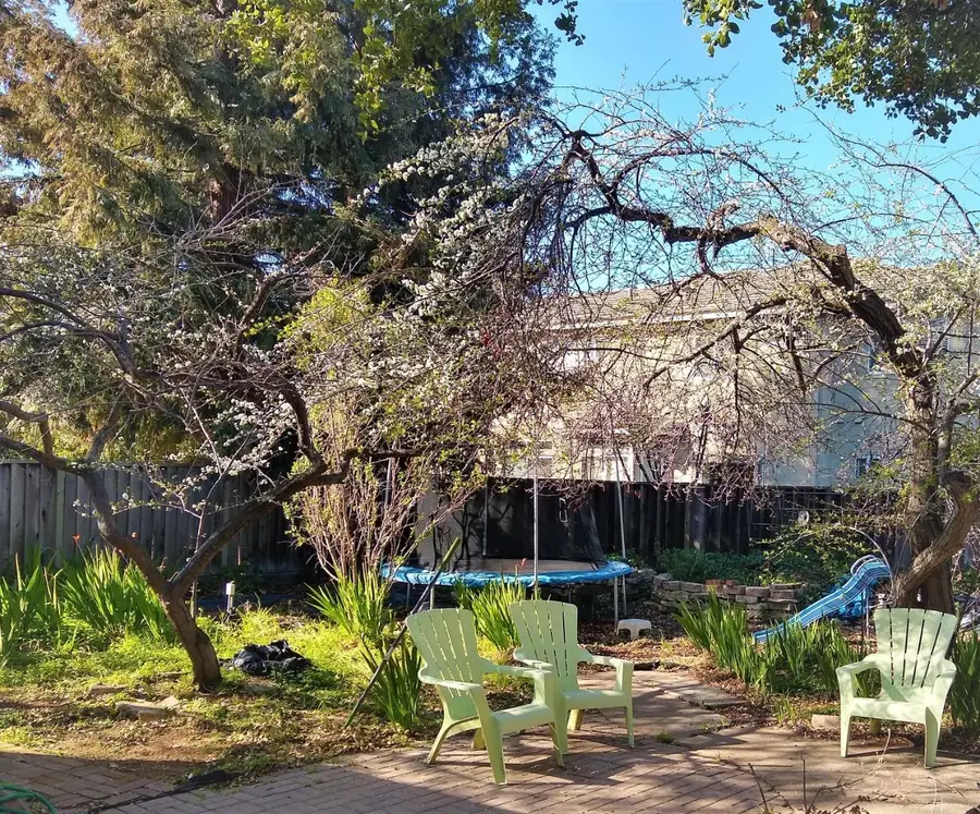 21851 Almaden Avenue, Cupertino, CA 95014 - Image #3