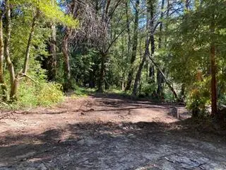 17000 Bear Creek Road, Boulder Creek, CA 95006 - #2
