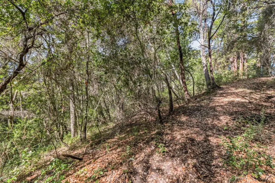 Lot 08 Madrone Avenue, Felton, CA 95018 - Image #2