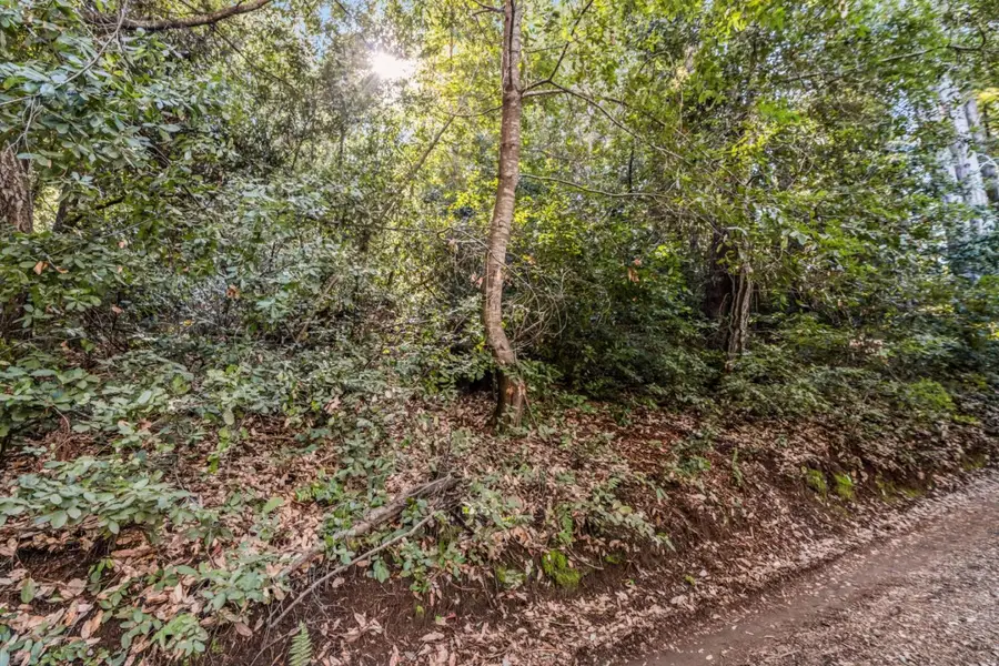 Lot 12 Vera Avenue, Felton, CA 95018 - Image #2