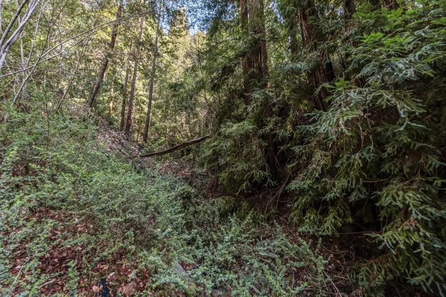 Lot 18 Antler Street, Felton, CA 95018 - #3