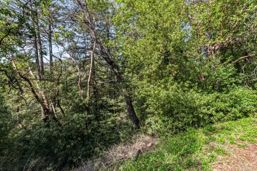 Lot 08 Lake Blvd And Lot 38 Lakeview, Felton, CA 95018 - Image #2