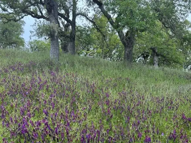 0 Lambert Flat Road, Carmel Valley, CA 93924 - #1