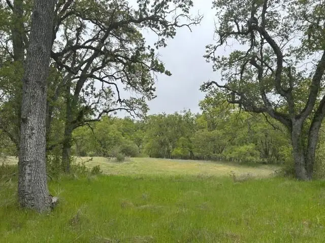 0 Lambert Flat Road, Carmel Valley, CA 93924 - #2