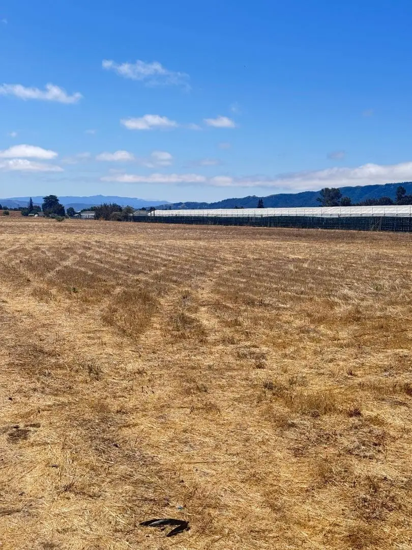 0 Apn 835 07 018 And Apn 835 07 019 Avenue, Gilroy, CA 95020 - Image #2