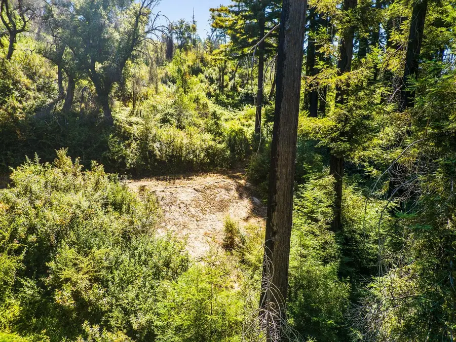 585 Robles Drive, Santa Cruz, CA 95060 - Image #3