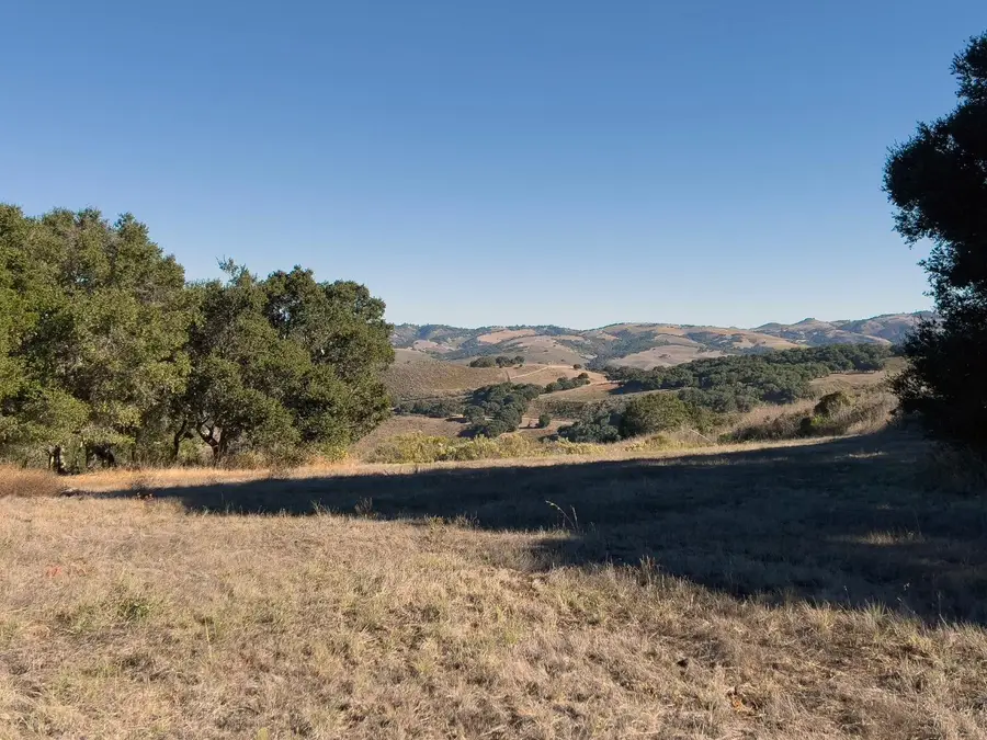 7 Holding Field Run, Carmel, CA 93923 - Image #2