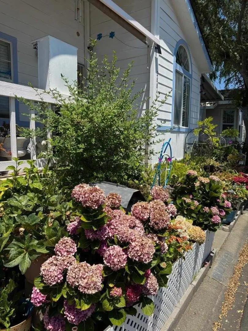 28845 La Corona Street #28845, Hayward, CA 94544 - Image #3