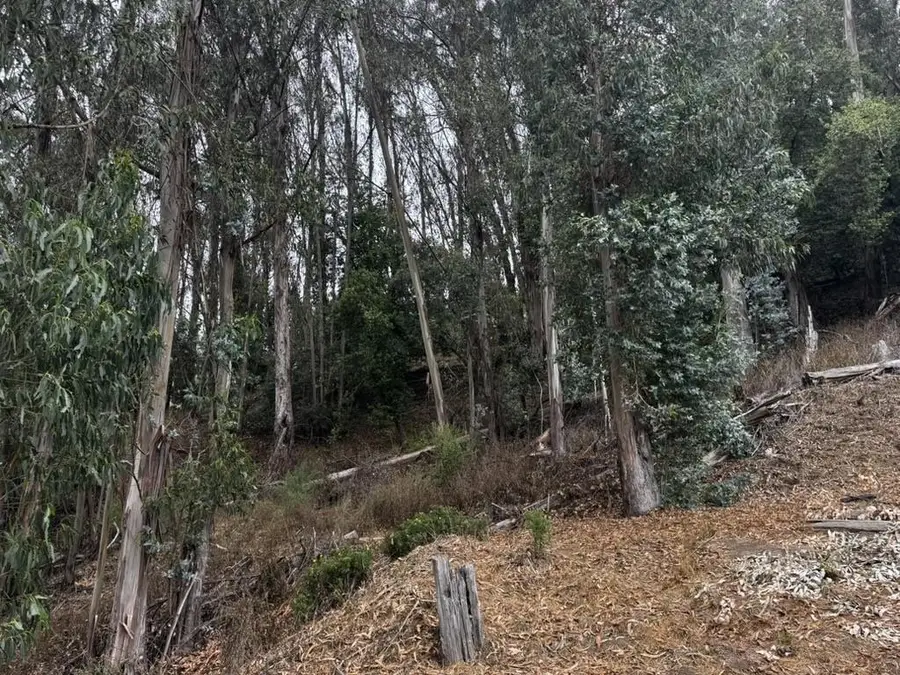 6587 Thornhill Drive, Oakland, CA 94611 - Image #3