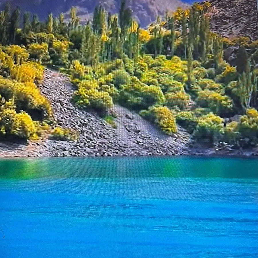 0 New Idria, Paicines, CA 95043 - Image #2