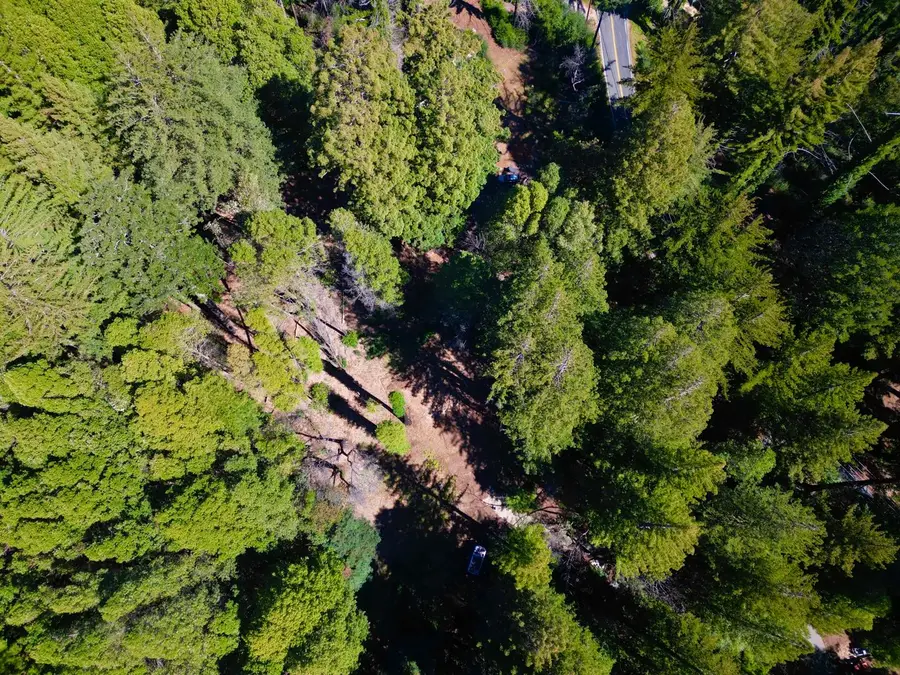 80 Conifer Lane, Santa Cruz, CA 95060 - Image #2