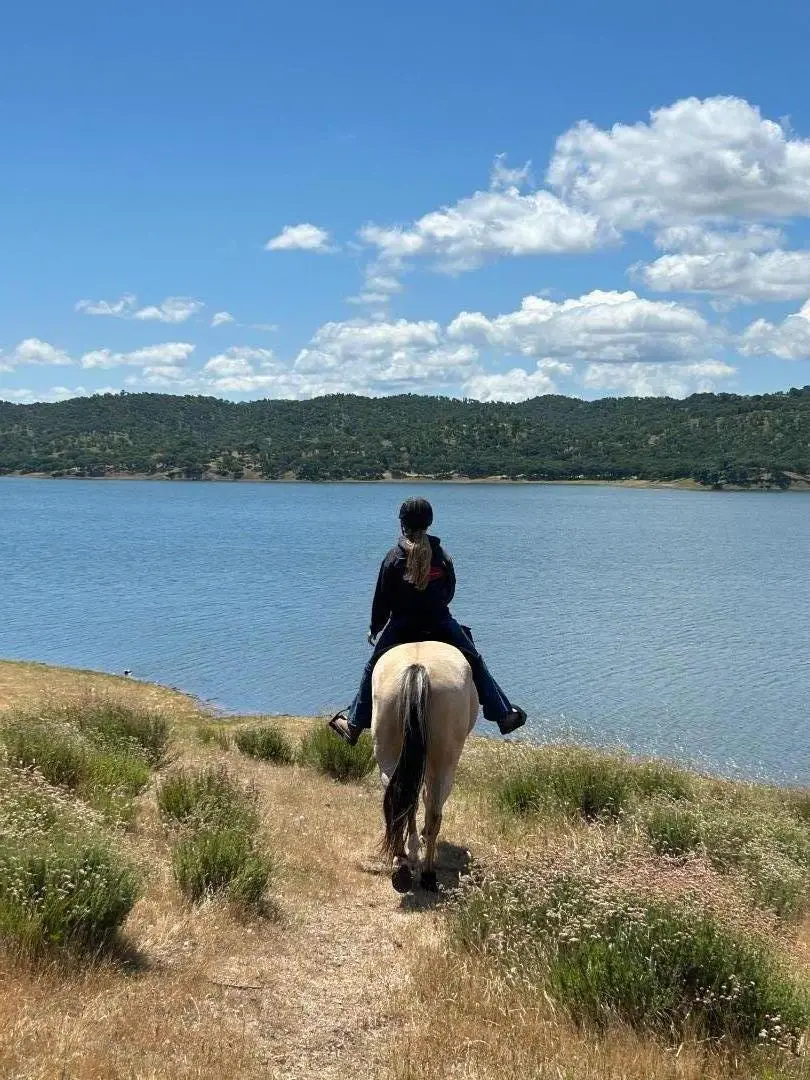 3485 Stable Lane, Santa Cruz, CA 95065 - Image #2